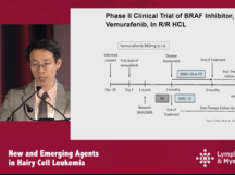 New and Emerging Therapies for Hairy Cell Leukemia New and Emerging Therapies for Hairy Cell Leukemia