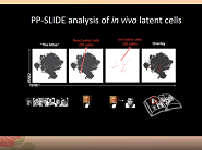 New and old players in HIV replication