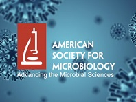 New Behaviors Complicate Candida auris