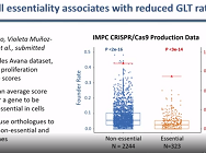 New Directions in Essential Gene Identification New Directions in Essential Gene Identification
