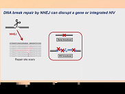 New prevention products in the pipeline