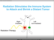New Ways Immunotherapy Targets Breast Cancer, with Silvia Formenti