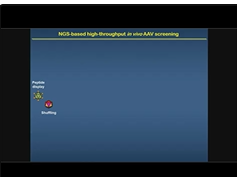 Next-generation AAV Vectors