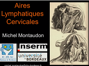 Nomenclature des aires lymphatiques cervicales