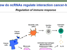 Non Coding RNAs in CCA - Chiara Braconi, Institute of Cancer Research, Royal Marsden (D3P18) Non Coding RNAs in CCA - Chiara Braconi, Institute of Cancer Research, Royal Marsden (D3P18)
