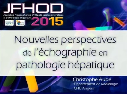 Nouvelles perspectives de l'échographie