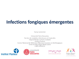 Nouvelles problématiques dans les infections fongiques -Infections fongiques émergentes Nouvelles problématiques dans les infections fongiques -Infections fongiques émergentes