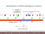 Novel discoveries of genes implicated in male and female infertility