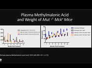 Nuclease-free Genome Editing Confers a Hepatocellular Growth Advantage for Corrected Cells in MMA Nuclease-free Genome Editing Confers a Hepatocellular Growth Advantage for Corrected Cells in MMA