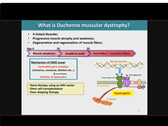Nucleic Acid and Gene Delivery Systems by the Combination of Nanobubbles and Ultrasound Nucleic Acid and Gene Delivery Systems by the Combination of Nanobubbles and Ultrasound