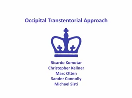 Occipital Transtenorial Approach