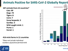 One Health Resources to Address COVID-19 in Animals and People One Health Resources to Address COVID-19 in Animals and People