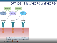 Opthea: OPT-302 (VEGF-C/D trap) for Combination Treatment in nAMD and DME