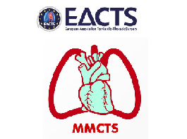 Optimal surgical mitral valve repair in Barlows disease