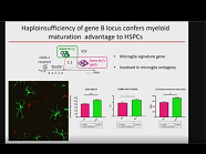 Optimization of HSC Gene Therapy Approaches to Treat Neurometabolic and Neurodegenerative Conditions Optimization of HSC Gene Therapy Approaches to Treat Neurometabolic and Neurodegenerative Conditions