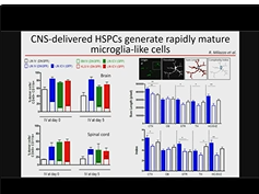 Optimization of HSC Gene Therapy Approaches to Treat Neurometabolic and Neurodegenerative Conditions Optimization of HSC Gene Therapy Approaches to Treat Neurometabolic and Neurodegenerative Conditions