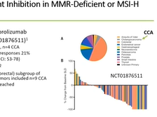 Overview of Data for Immunotherapy - Katie Kelley, UCSF (D2P16) Overview of Data for Immunotherapy - Katie Kelley, UCSF (D2P16)