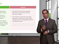 Oxygen Demand of the Heart: Supply & Demand Mismatch Oxygen Demand of the Heart: Supply & Demand Mismatch