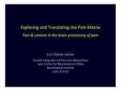 Pain in the Human Brain Pain in the Human Brain