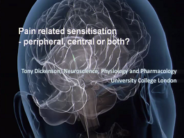 Pain-related sensitization: peripheral, central or both? Pain-related sensitization: peripheral, central or both?