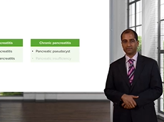 Pancreatitis: Overview  Gastrointestinal Pathology Pancreatitis: Overview  Gastrointestinal Pathology