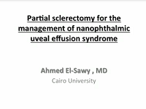 Partial sclerectomy for the management of nanophthalmic uveal effusion syndrome Partial sclerectomy for the management of nanophthalmic uveal effusion syndrome