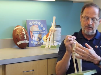 Patellar Tendon Injury / Douglas Cutter, MD, CAQSM