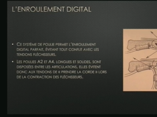 Pathologie des fléchisseurs et des poulies chez le pratiquant d'escalade Pathologie des fléchisseurs et des poulies chez le pratiquant d'escalade