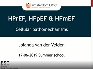 Pathophysiology of HFpEF, HFrEF, and HFmEF Pathophysiology of HFpEF, HFrEF, and HFmEF