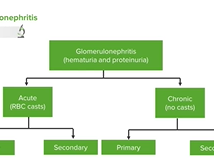 Pediatric Glomerulonephritis - Pediatrics