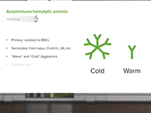 Pediatric Pyruvate Kinase Deficiency, Autoimmune Hemolytic Anemia -Pediatric Hematology Pediatric Pyruvate Kinase Deficiency, Autoimmune Hemolytic Anemia -Pediatric Hematology