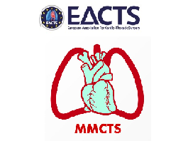 Percutaneous mitral valve repair with the edge-to-edge technique