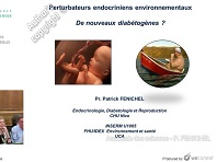 Perturbateurs endocriniens environnementaux. De nouveaux diabétogènes ?