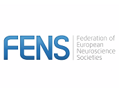 Peter Hagoort on the Toolkit of Cognitive Neuroscience