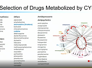 Pharmacogenomics based personalized drug treatment across world populations