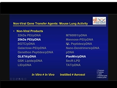 Phase IIb Multiple Dose, Non-Viral, Cystic Fibrosis Gene Transfer Clinical Trial Phase IIb Multiple Dose, Non-Viral, Cystic Fibrosis Gene Transfer Clinical Trial