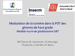 Photothérapie et modèle murin de glioblastome