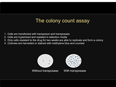 piggyBac Transposons to Cut and Paste DNA