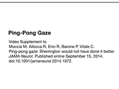 Ping-Pong Gaze Ping-Pong Gaze