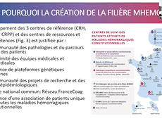 Plénière : L'AFH de demain Plénière : L'AFH de demain