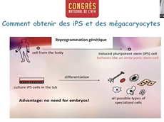 Plénière : Pathologies plaquettaires Plénière : Pathologies plaquettaires