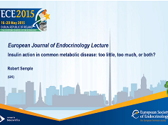 Plénières et Conférences de lauréats - Journal Européen d'Endocrinologie : l'action de l'insuline dans les pathologies métaboliques communes : trop, trop peu, ou les deux?