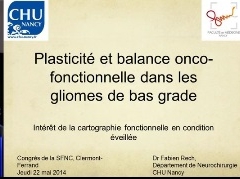 Plasticité et balance onco-fonctionnelle dans les gliomes de bas grade