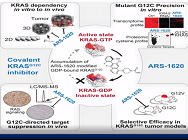 Plenary I Fall 2019 SWOG Group Meeting: Inhibiting K-RAS in the Clinic