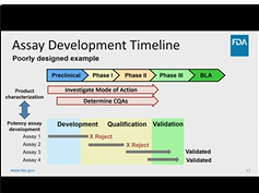 Potential Challenges Throughout the Development Process
