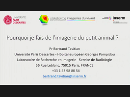 Pourquoi j'ai fait de la recherche petit animal