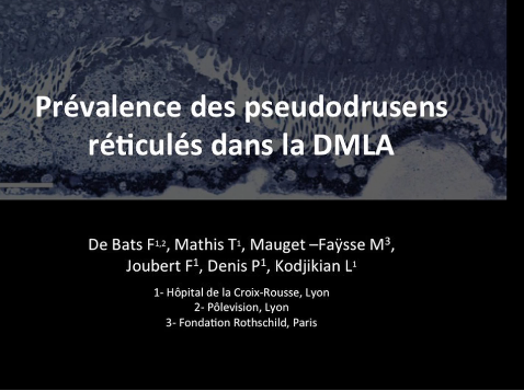 Conférence 11 2015