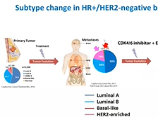 Predicting prognosis and benefit from CDK4/6 inhibitors in breast cancer usingbiology-based data Predicting prognosis and benefit from CDK4/6 inhibitors in breast cancer usingbiology-based data