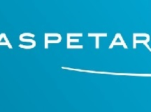 Predictive Factors in Treating Chondral Defects of the Knee Predictive Factors in Treating Chondral Defects of the Knee