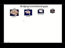 Prefrontal Circuits That Regulate Threat and Reward-Elicited Behaviors